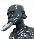 Cultural growth of lips and ears