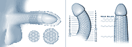 concept of enlargement